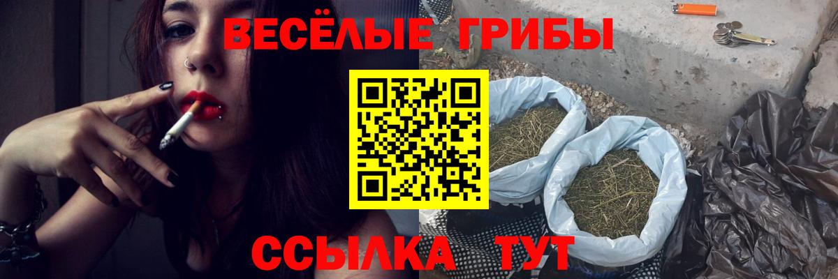 Галлюциногенные грибы Psilocybine cubensis Керчь