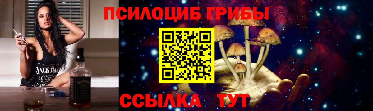 купить наркотики сайты  Псилоцибиновые грибы мухоморы  Керчь  Вход с VPN  Псилоцибиновые грибы Psilocybine cubensis 